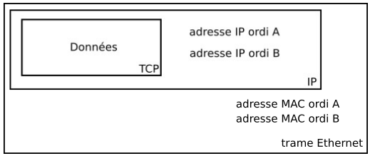 Capsule_Ethernet.png